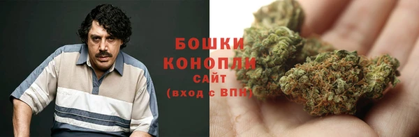 ПСИЛОЦИБИНОВЫЕ ГРИБЫ Алзамай