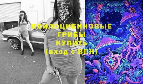 прущий лед Алексин