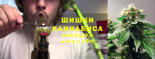 ПСИЛОЦИБИНОВЫЕ ГРИБЫ Алзамай