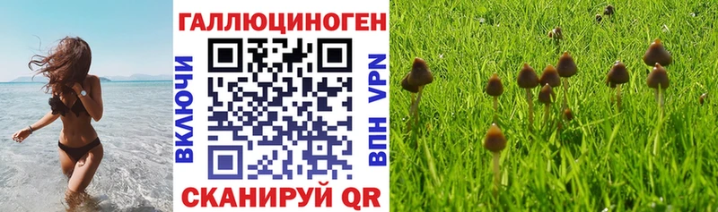 где найти наркотики  Луза  Псилоцибиновые грибы ЛСД 